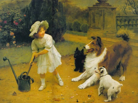 collies